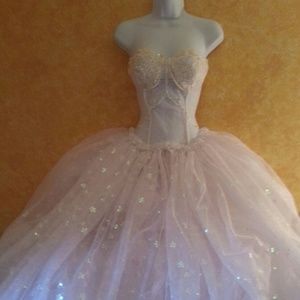 SAMPLE GOWN ONLY-Victorian Iridescent Sheer Corset Wedding Ballgown